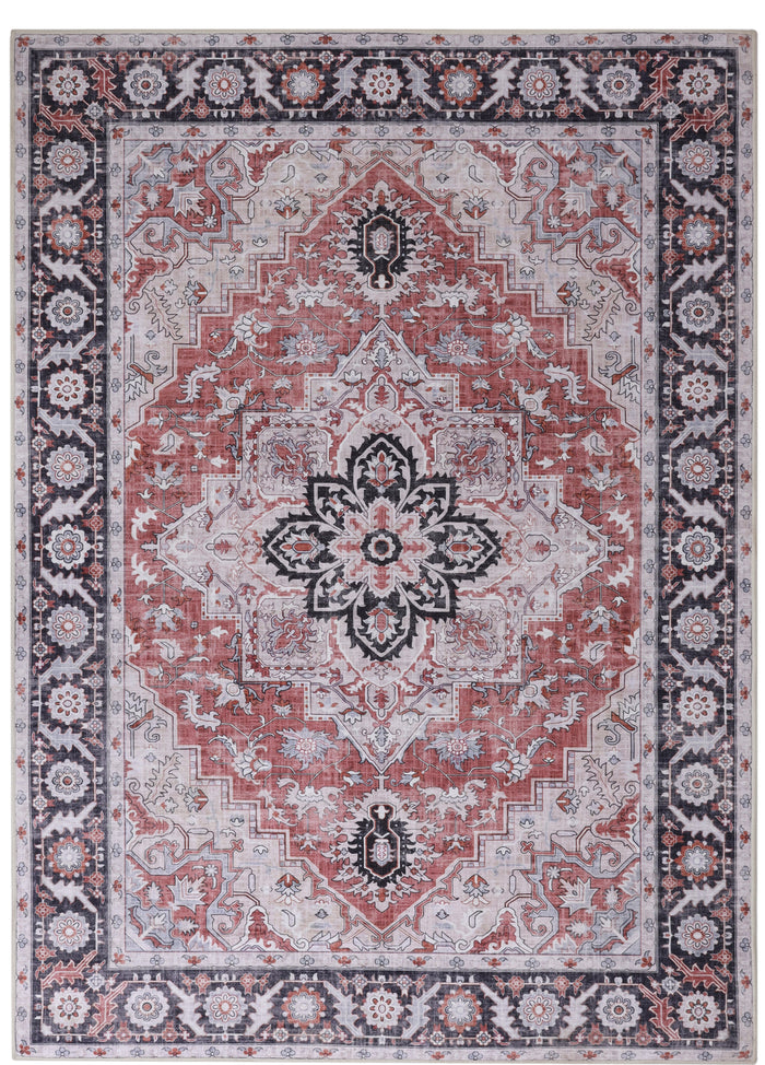 Milano Vintage Coral Medallion Rug D10 | Farsh.pk